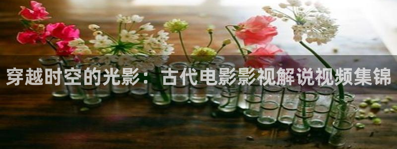 全风神马影院