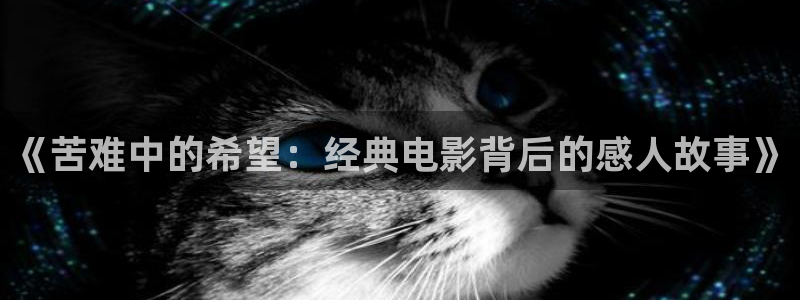 神马达达兔电视剧播放