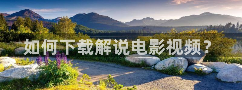 神马电影剧