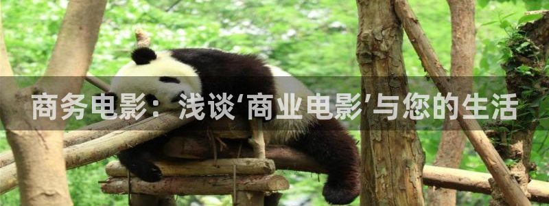 神马手机影院在线免费观看
