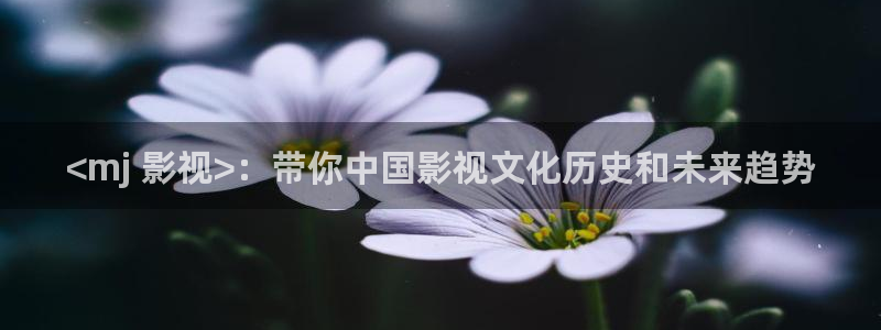 神马理论电影在线观看