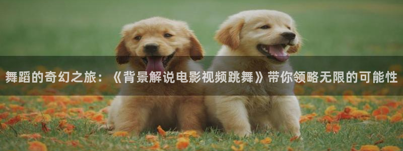 神马影院手机电影在线观看