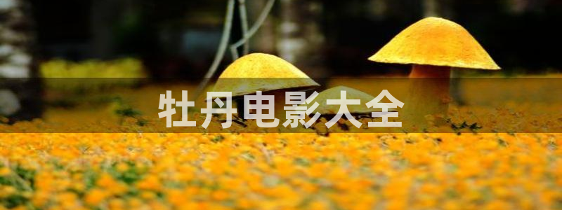 草民神马影视第一天