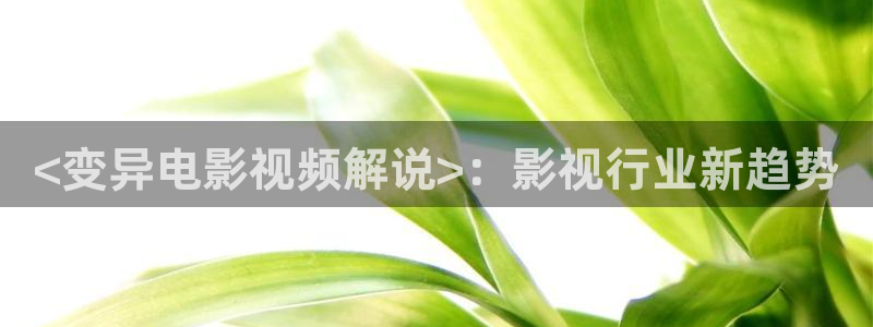 妈妈的朋友3神马影院