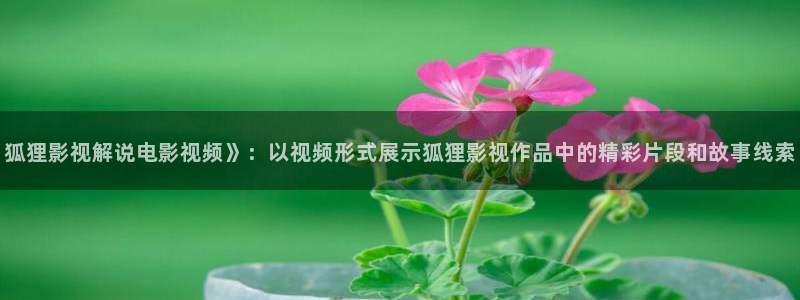 神马影院流氓兔