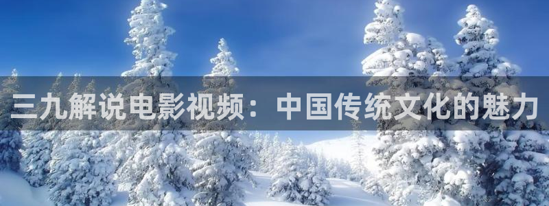 大地高清神马电影网