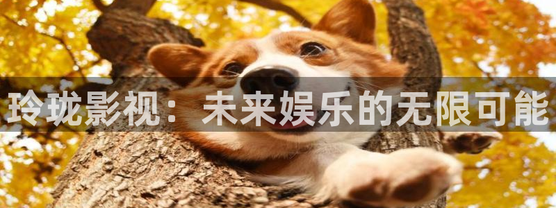 神马影视免费观看