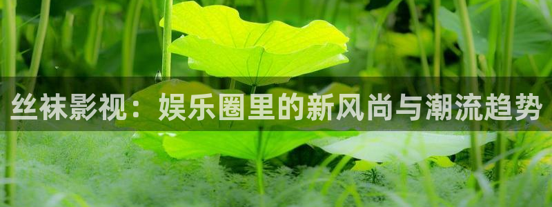 神马影院第九光棍电影