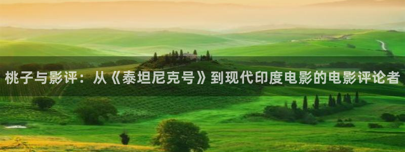 神马电影在线观看不卡