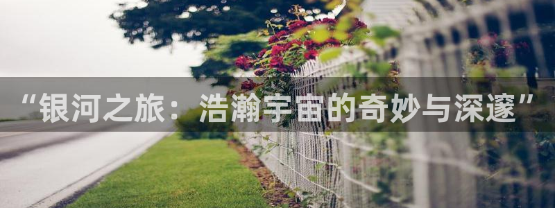 神马电影91zizi