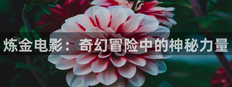 神马特片伦理