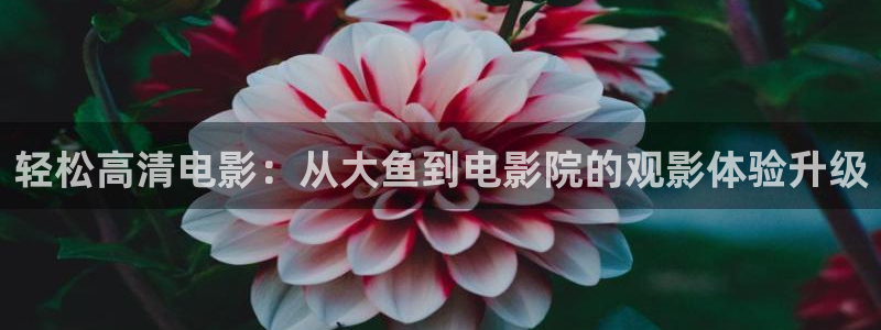 神马电影午夜剧场