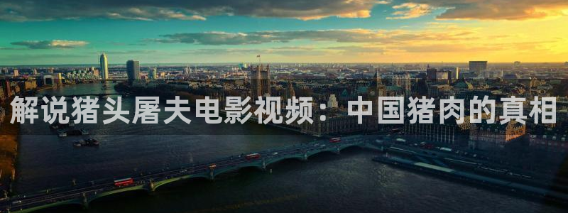 神马影视午夜不卡