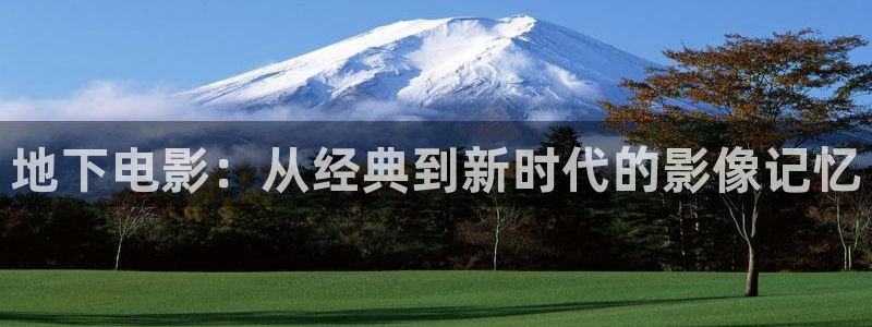 神马影院全职高手电影在线免费