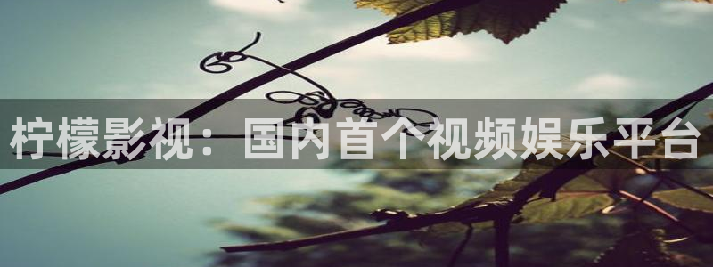 电影免费在线观看神马