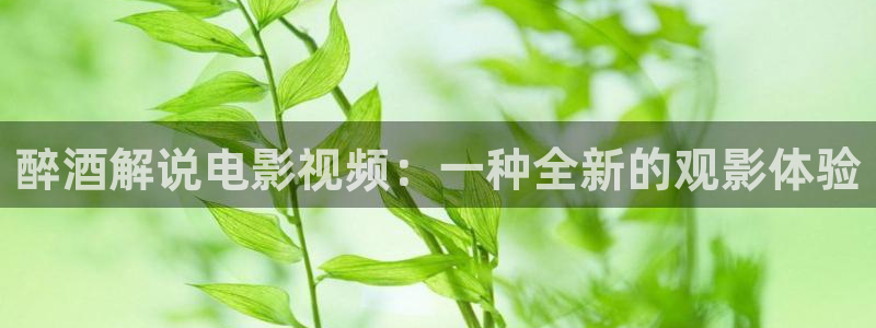 神马电视剧电影免费