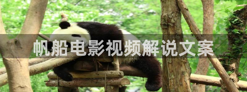 达达兔神马电影在线观看