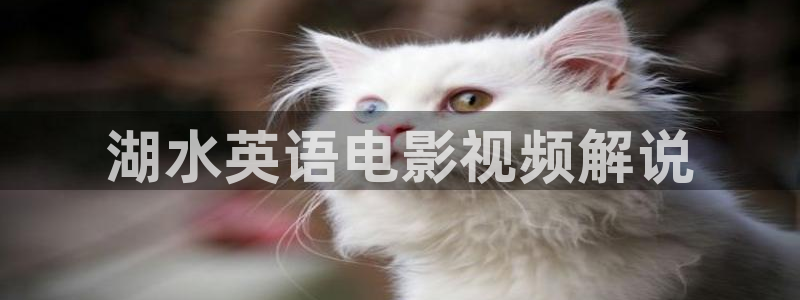 神马影院有病毒吗