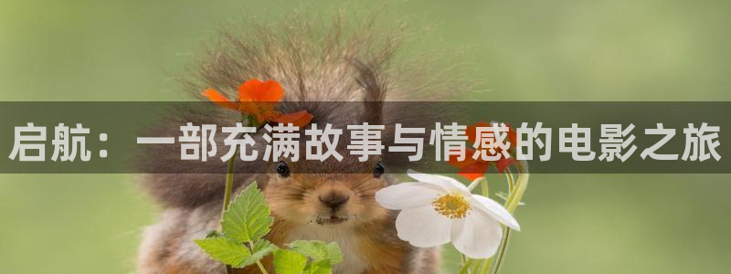 神马影视播放器