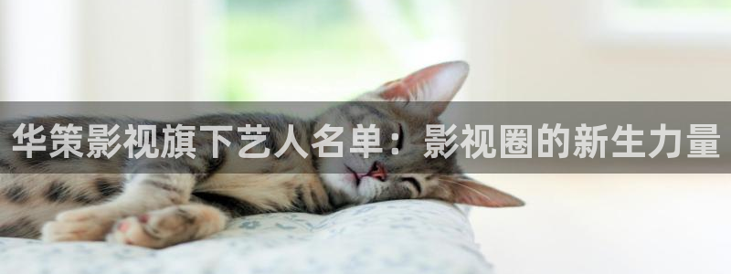 人皮交易神马影院