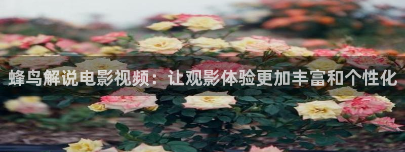 神马达达兔影视在线电视免费观看