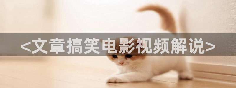 午夜神马理论影院