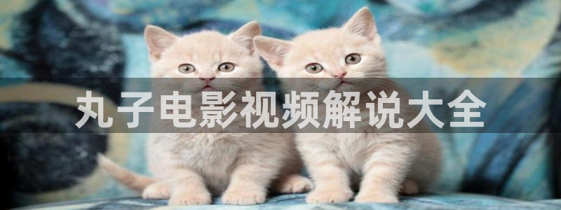 神马电影dy888影视