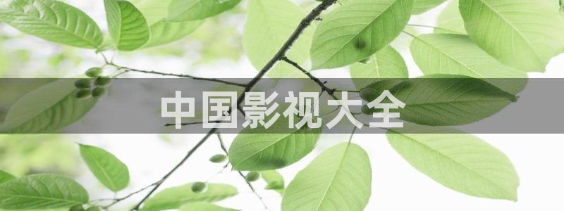 新神马影院在线