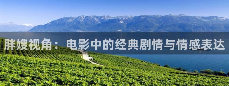 神马影院我不卡八戒