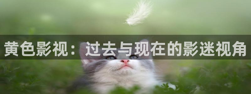 神马影院dy4888