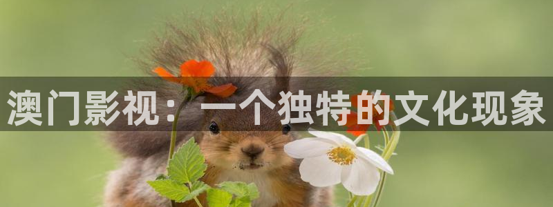 妈妈的朋友4在线观看神马影院