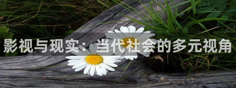 神马无敌琪琪电影在线观看