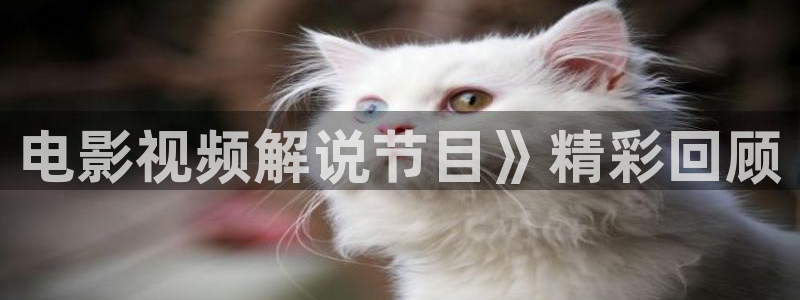 神马我不卡影院手机在线观看