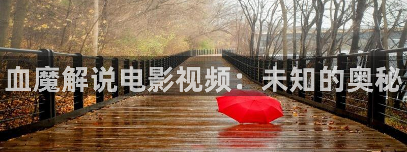 神马午夜电影天堂