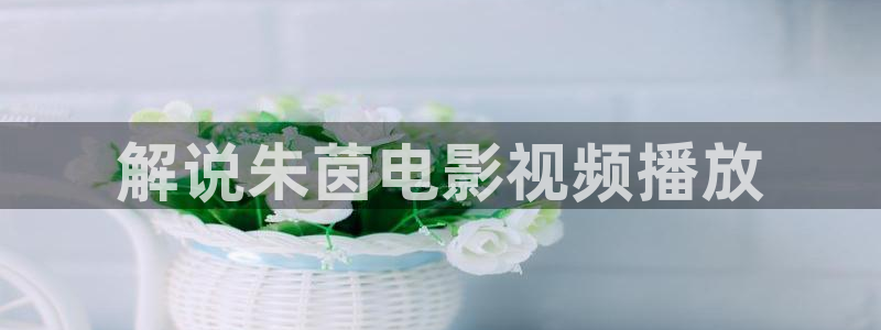 神马免费伦理