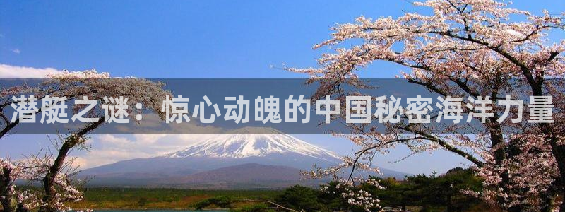 神马电影网午夜一