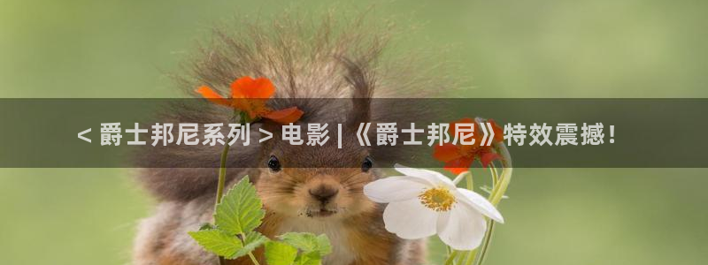 秋霞影院神马电影
