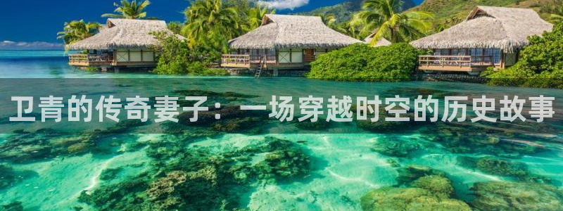 神马影院韩国理伦